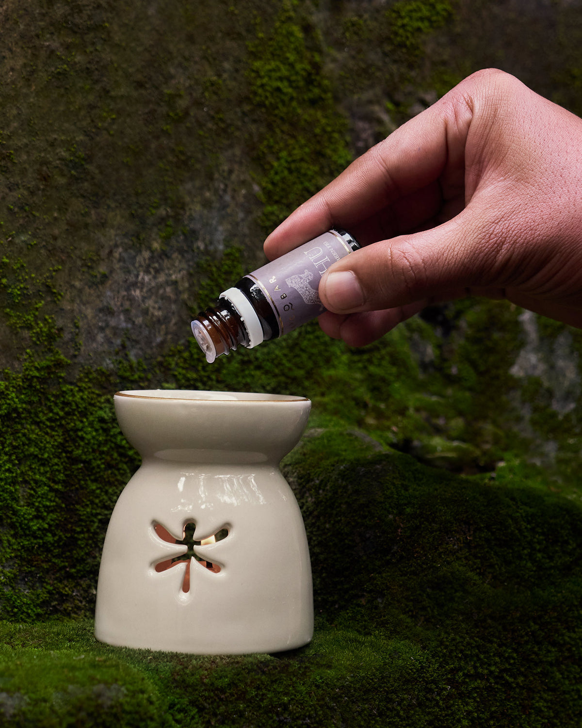 Sattva Gift Set