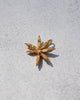 Star Anise Charm (Large)