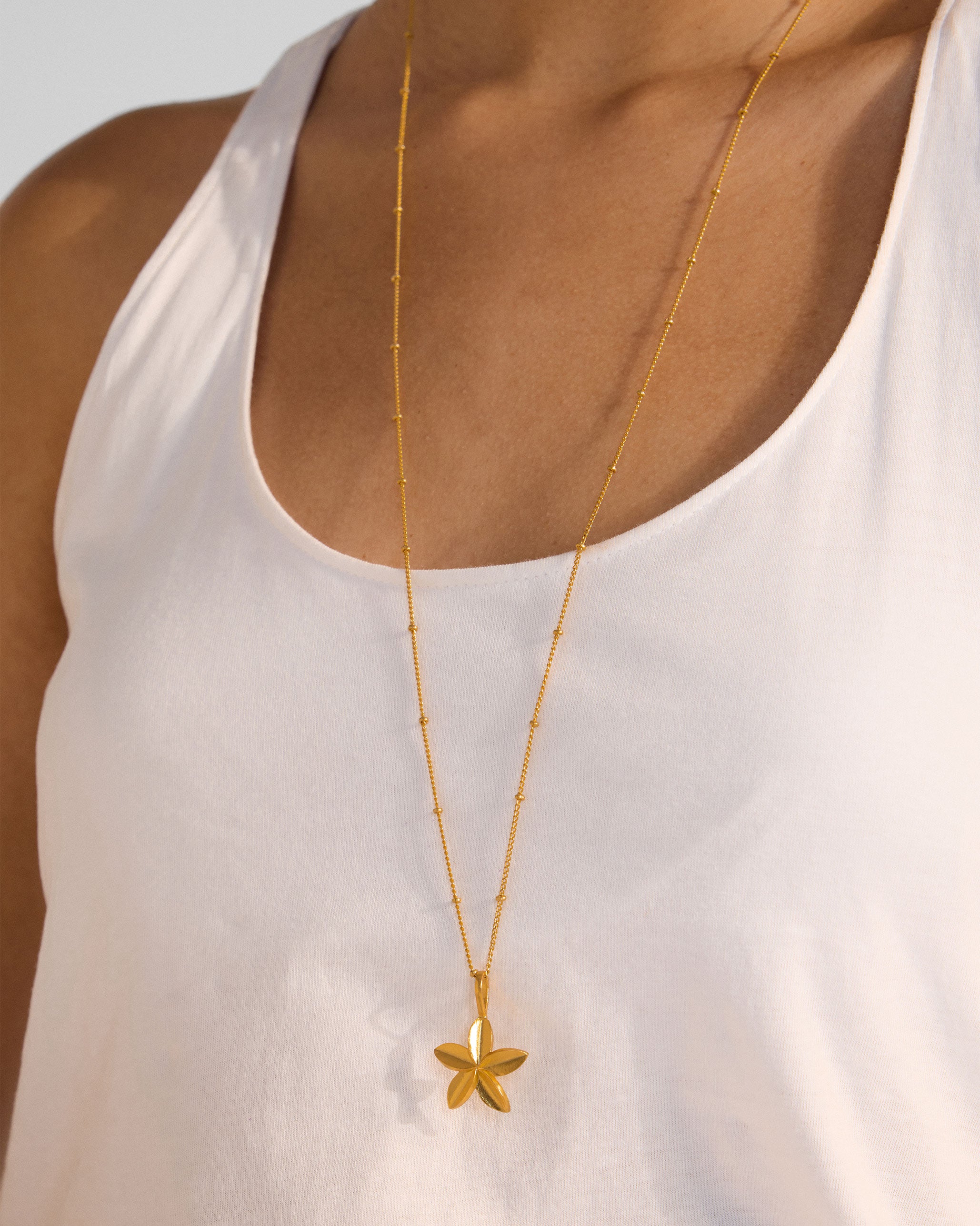 Frangi Charm with Chain - Gold