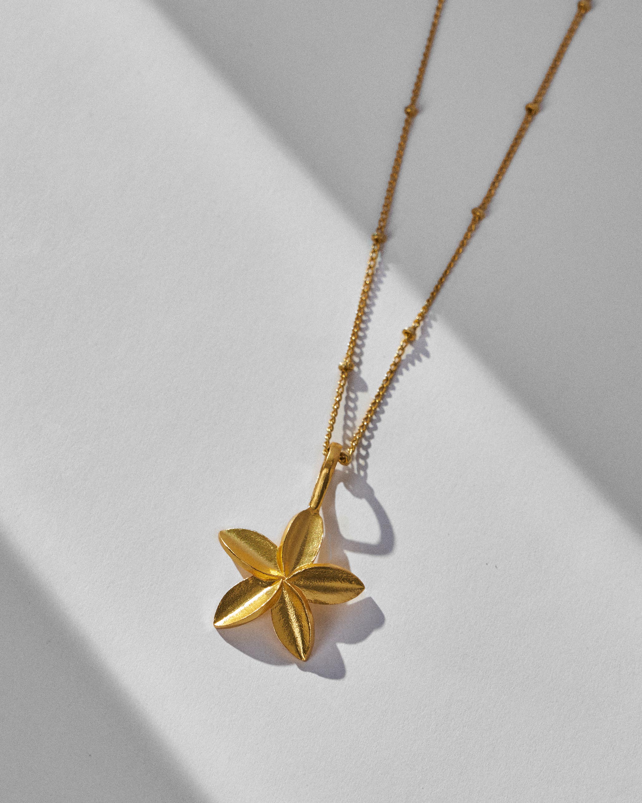 Frangi Charm with Chain - Gold