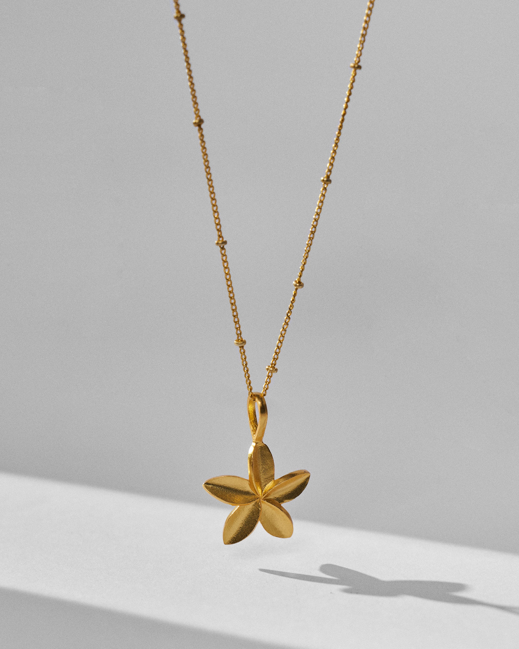 Frangi Charm with Chain - Gold