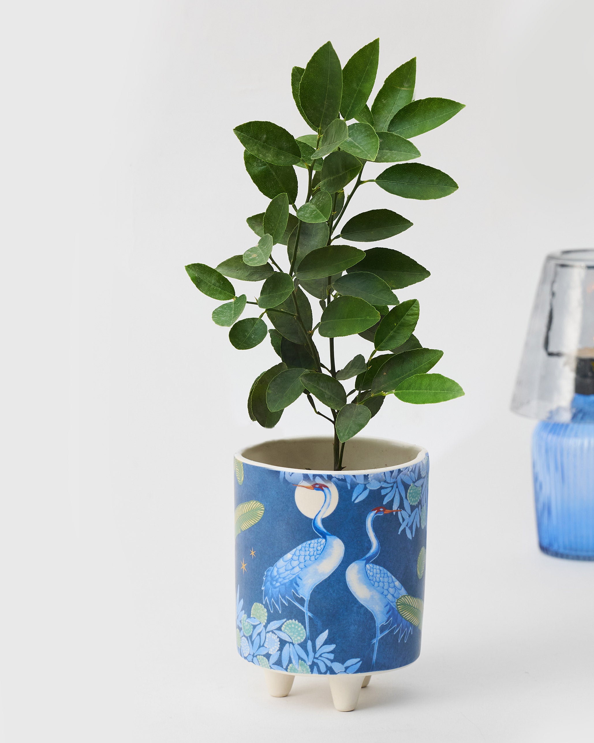 Dancing Crane Decor Set