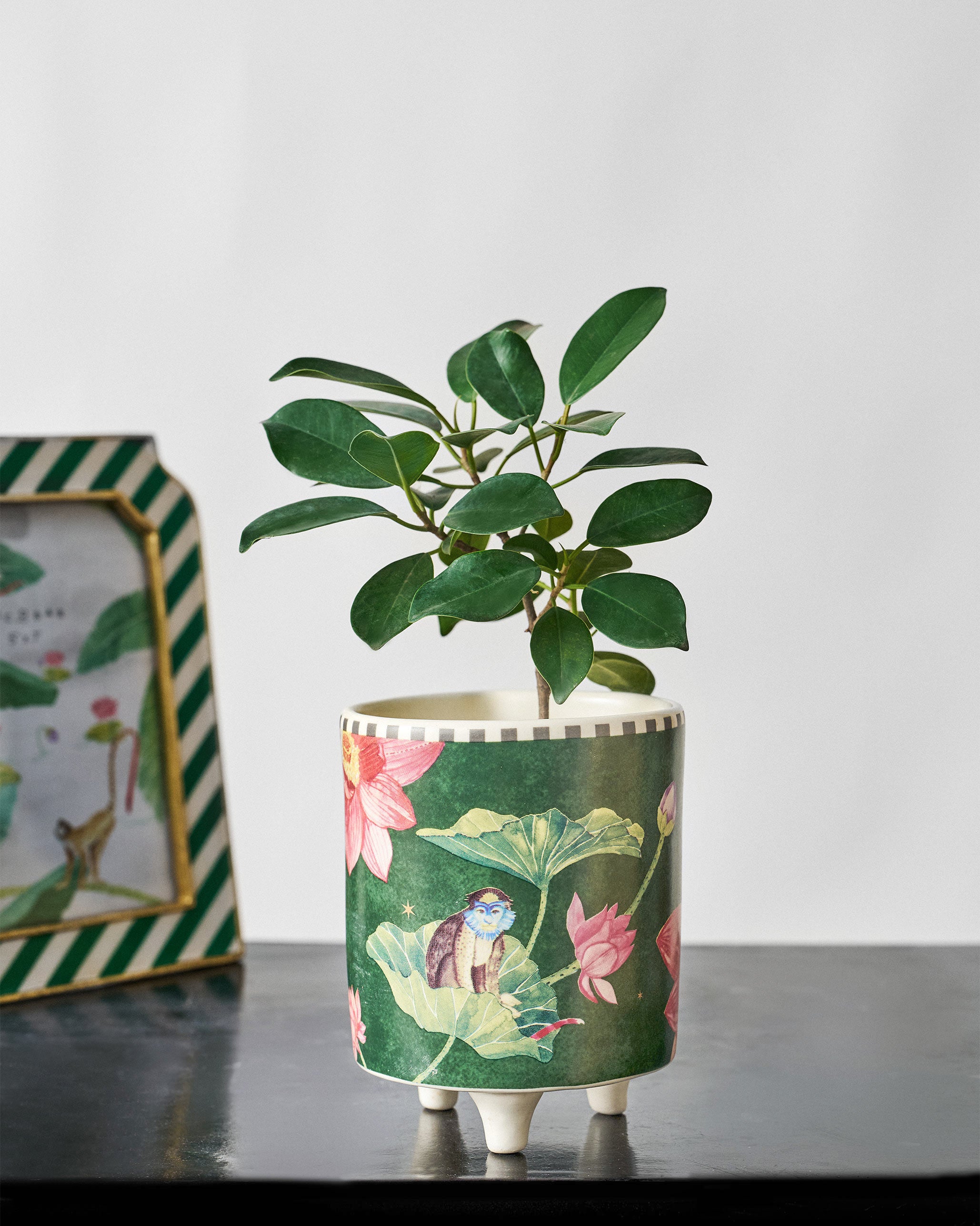 Lotus Pond Planter