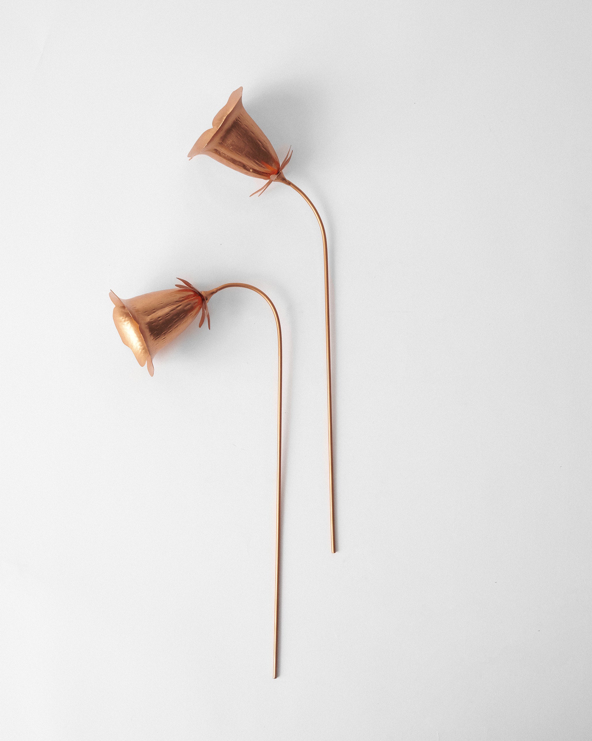 Dusk Accent - Set of 2 - TSSxNB