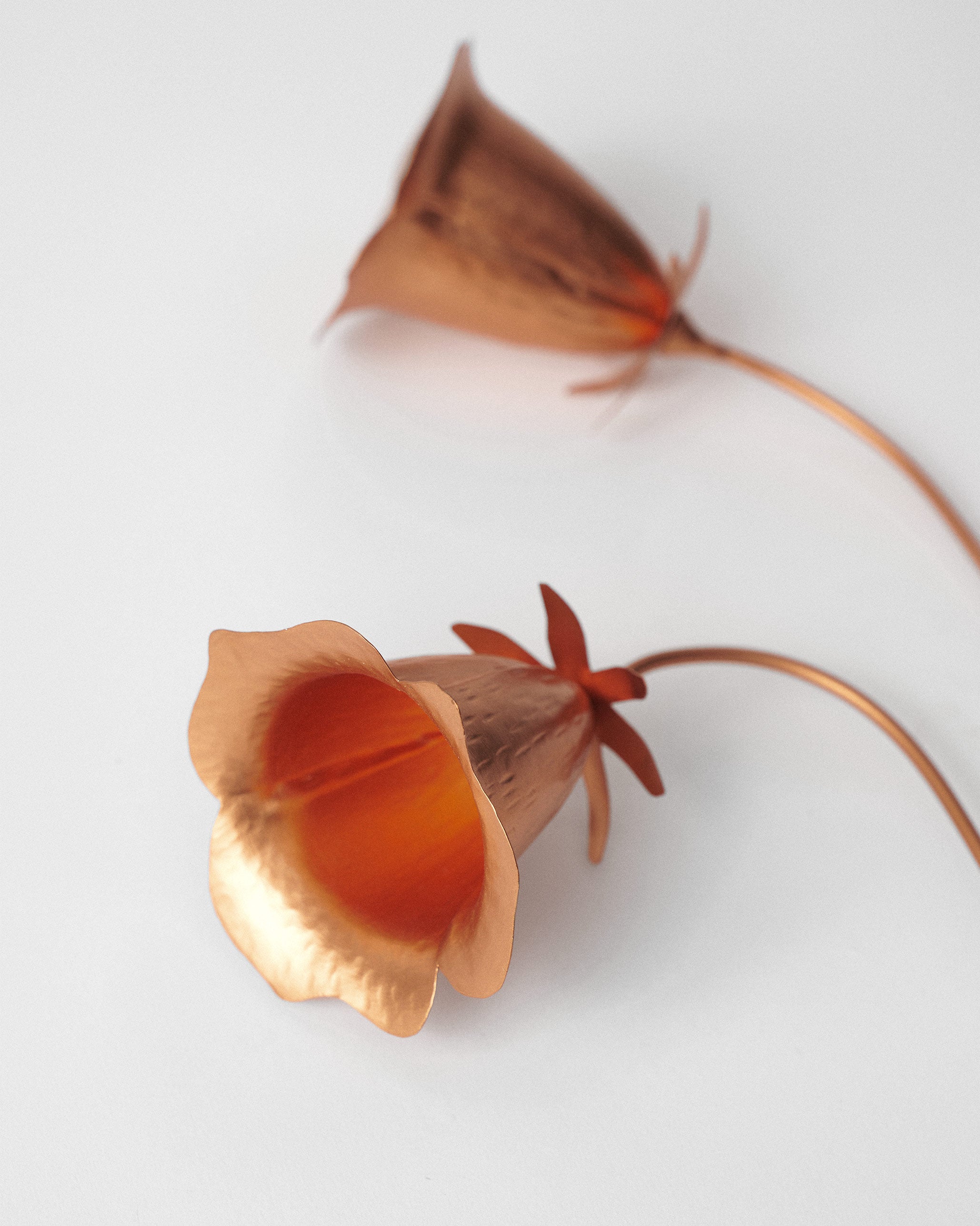 Dusk Accent - Set of 2 - TSSxNB