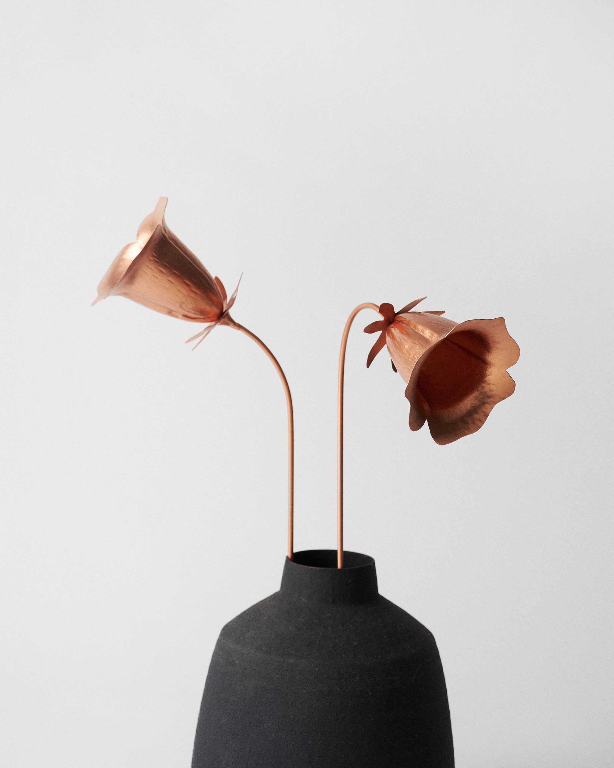 Dusk Accent - Set of 2 - TSSxNB