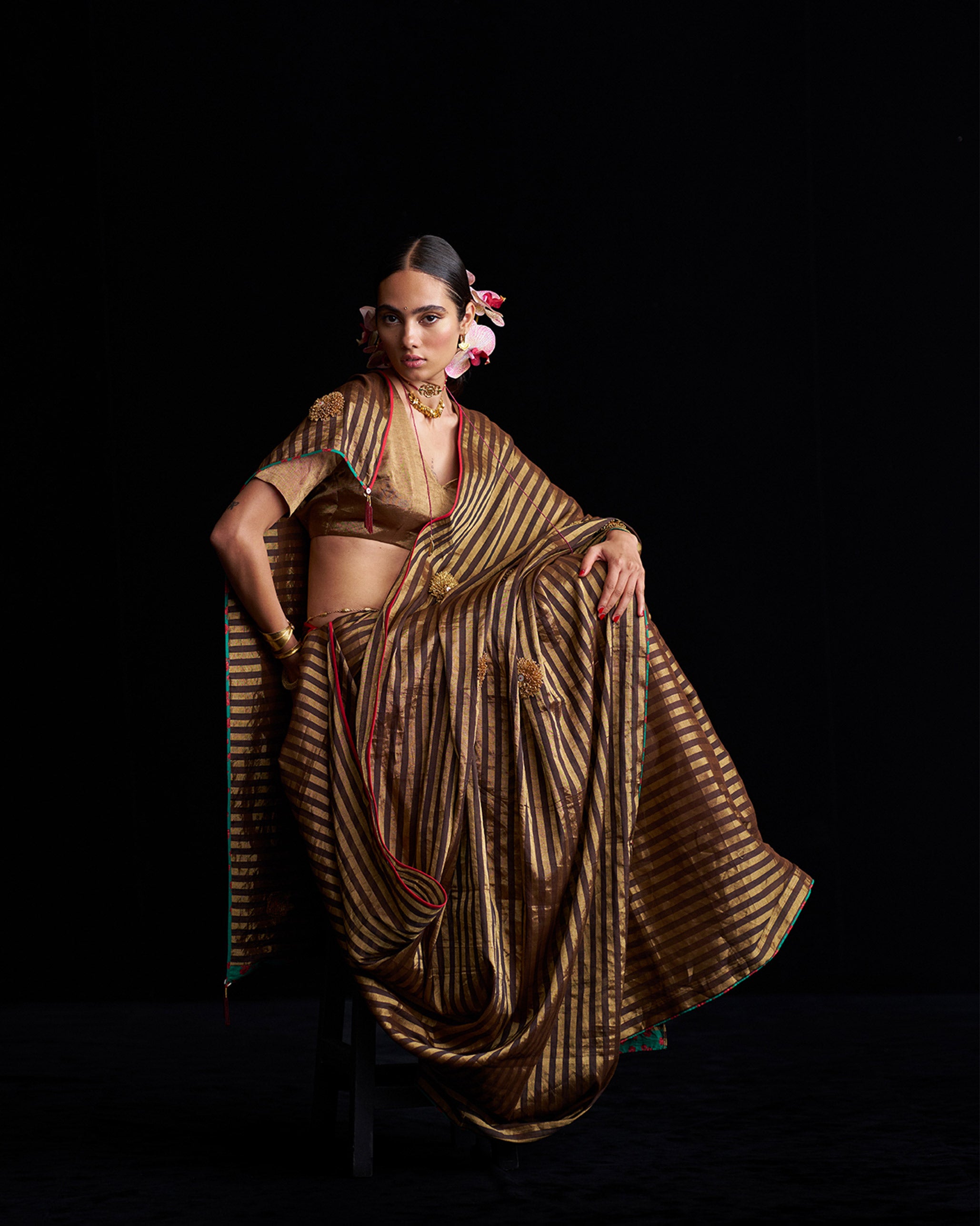 Avni Sari & Blouse Pc - Brown & Gold Embroidered