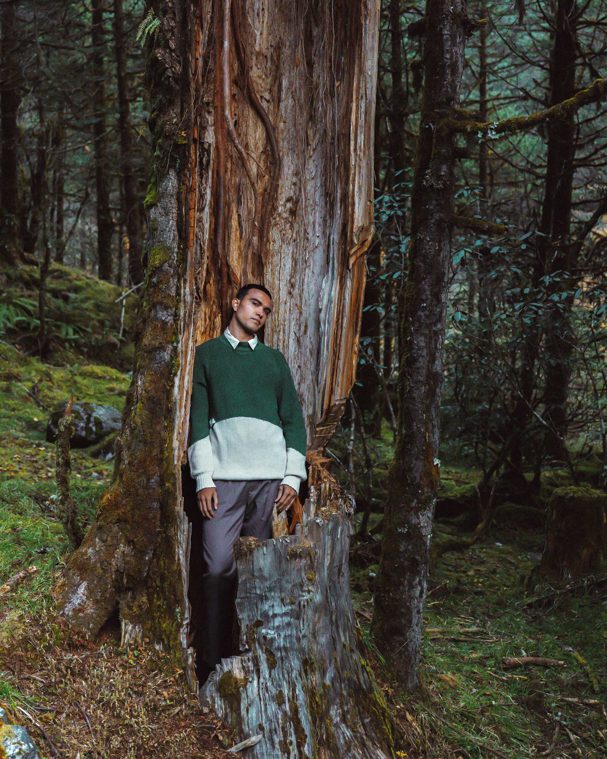 Crew Neck Sweater - Green & Ivory