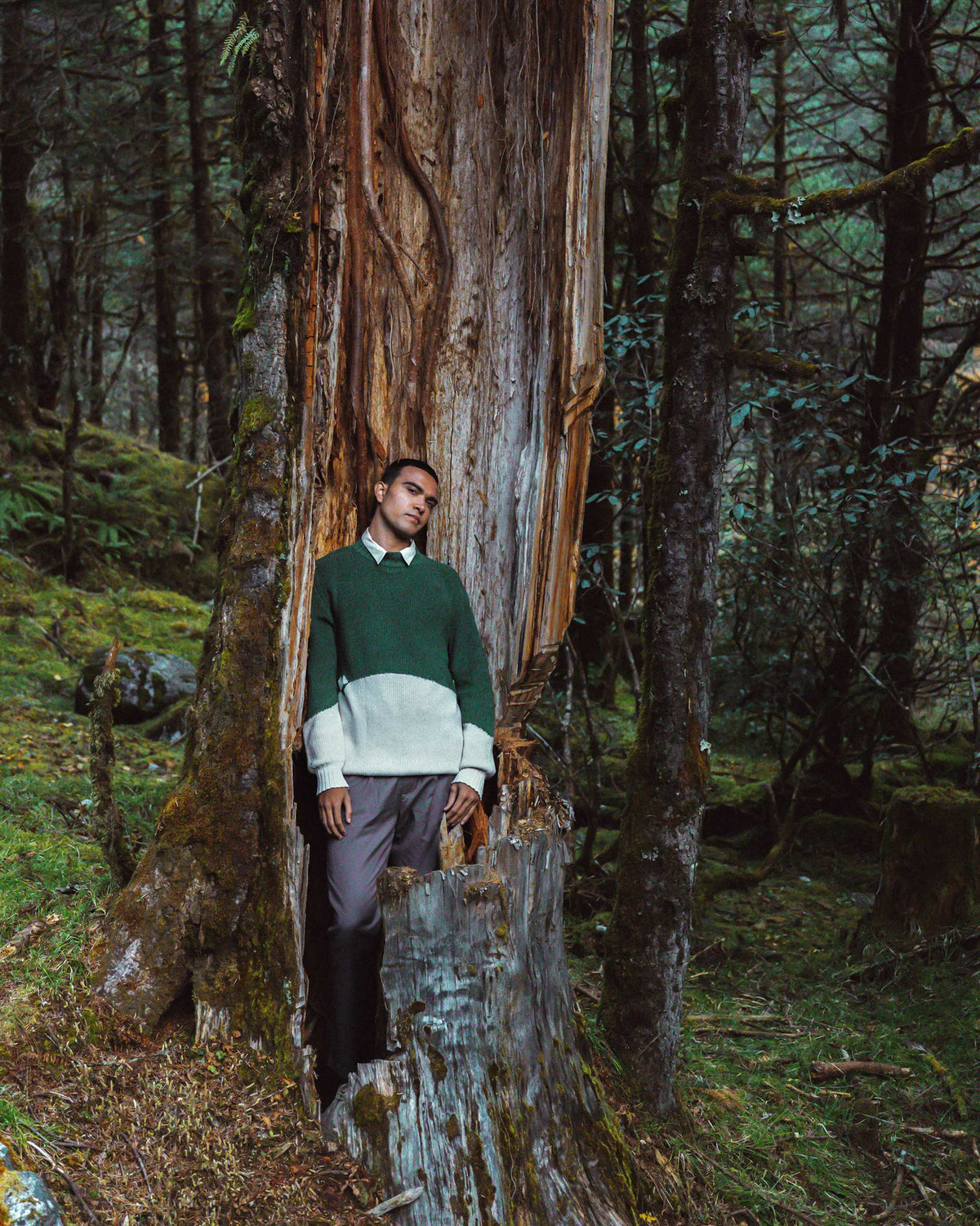 Crew Neck Sweater - Green & Ivory