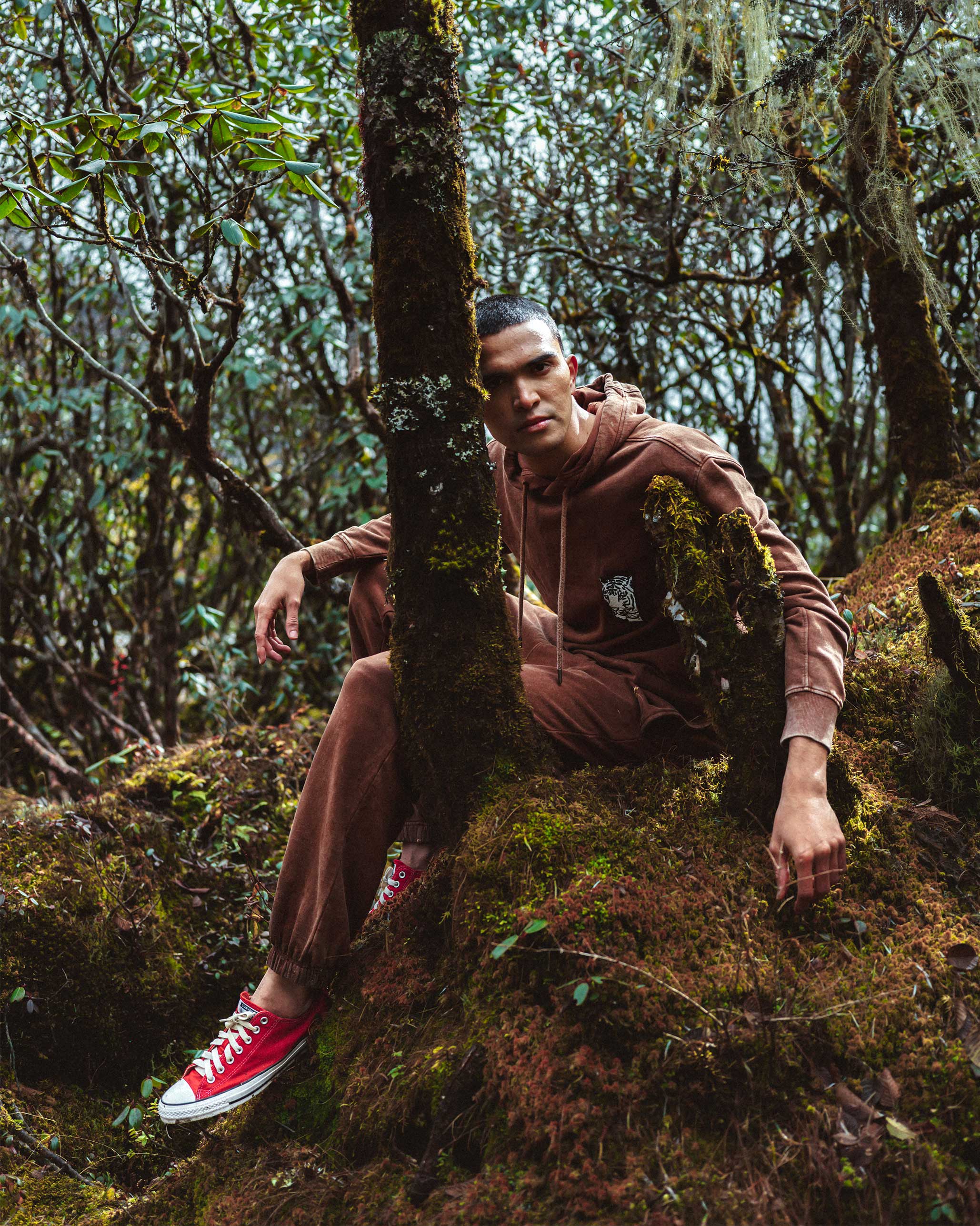 Aro Sweatshirt - Brown