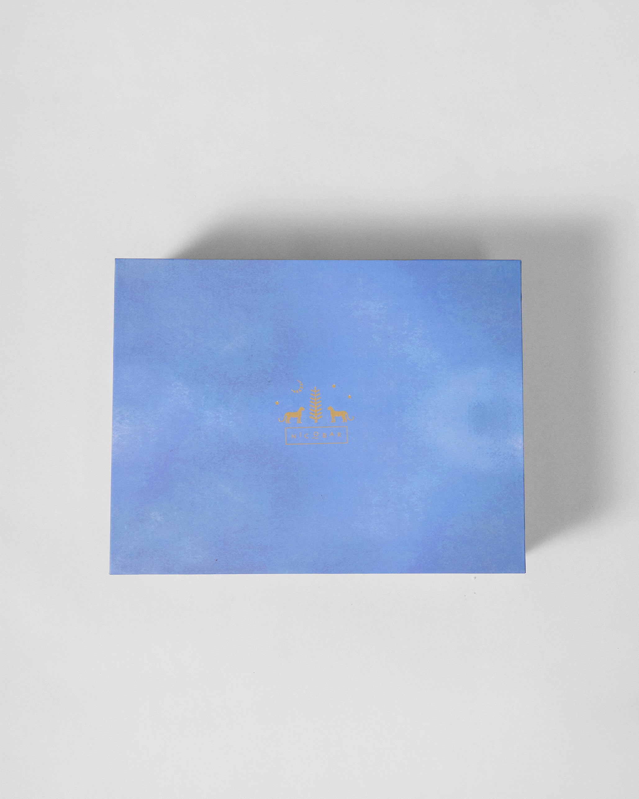 Aaranya Teapot and Kulhars Set