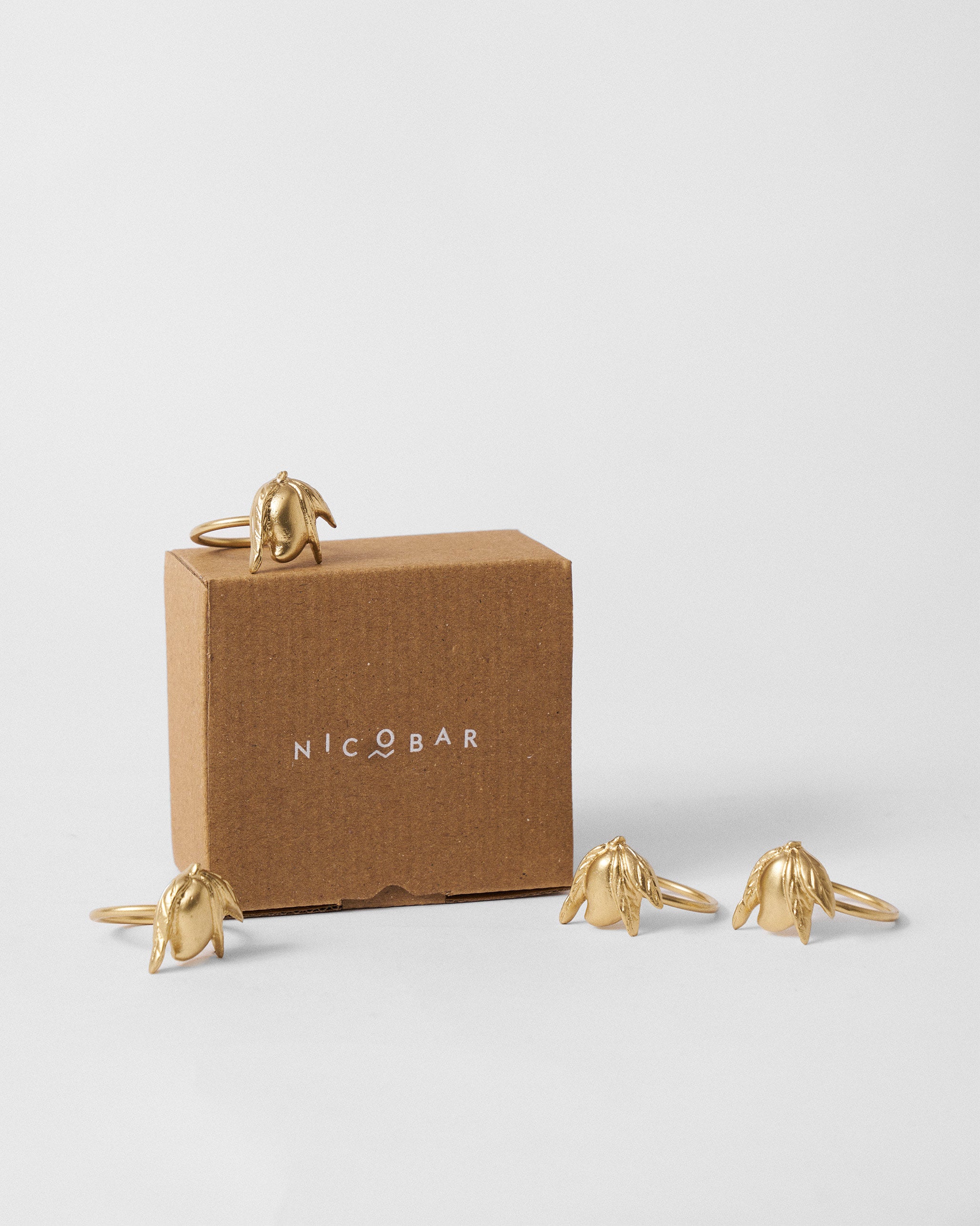 Ambi Napkin Ring - Set of 4