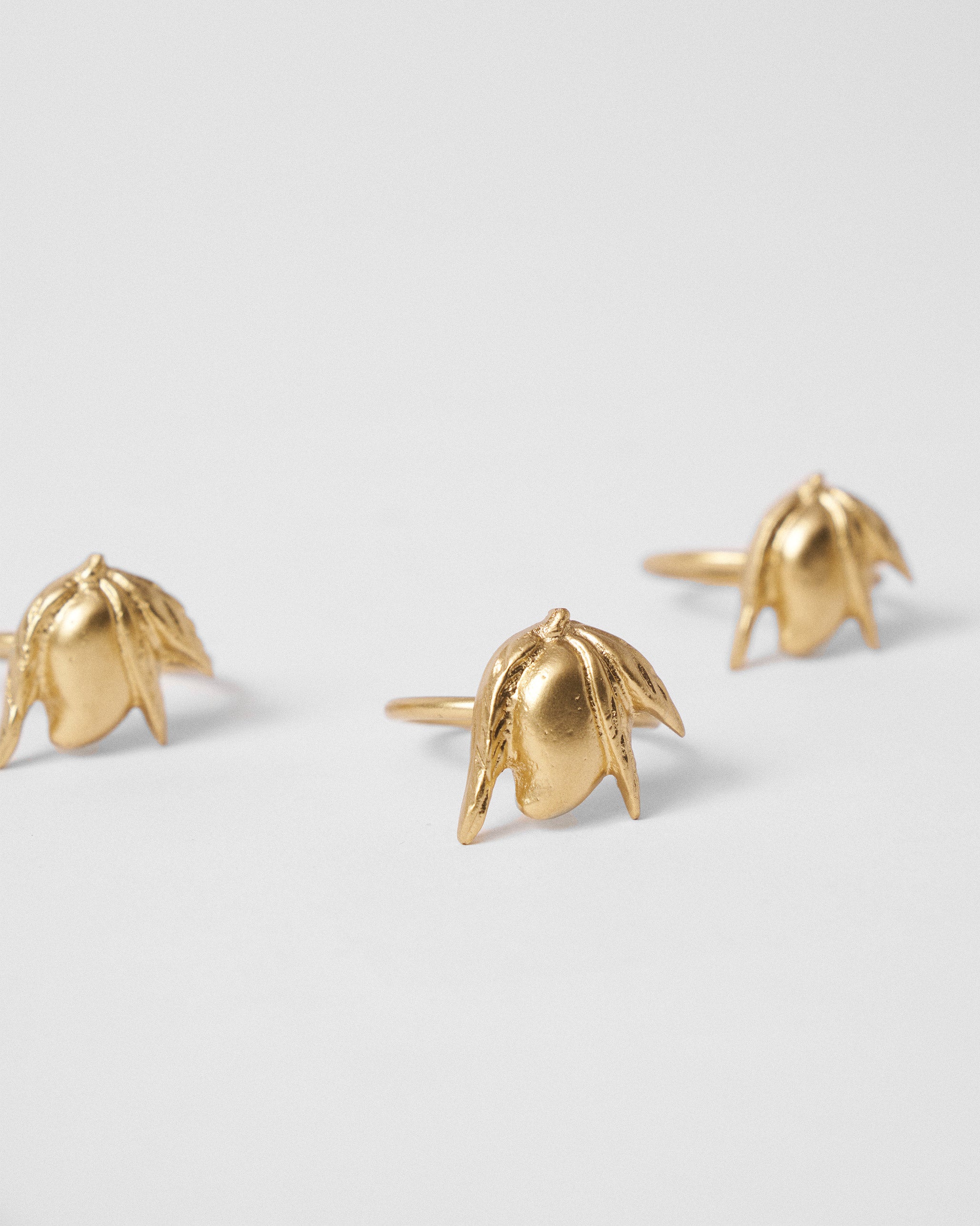 Ambi Napkin Ring - Set of 4