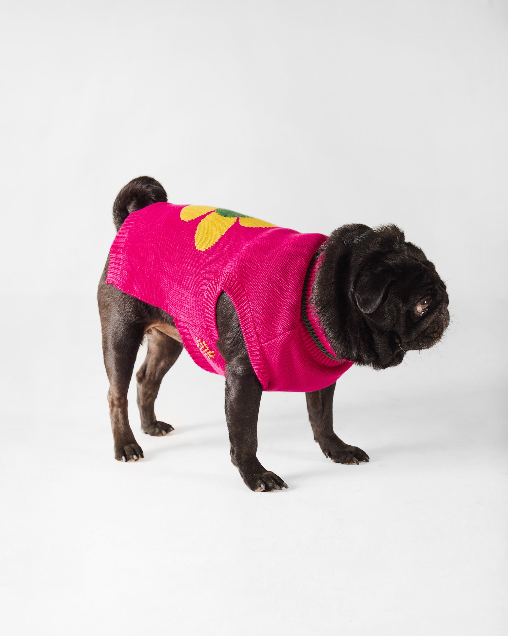 Bark Bloom Dog Sweater - Fuchsia