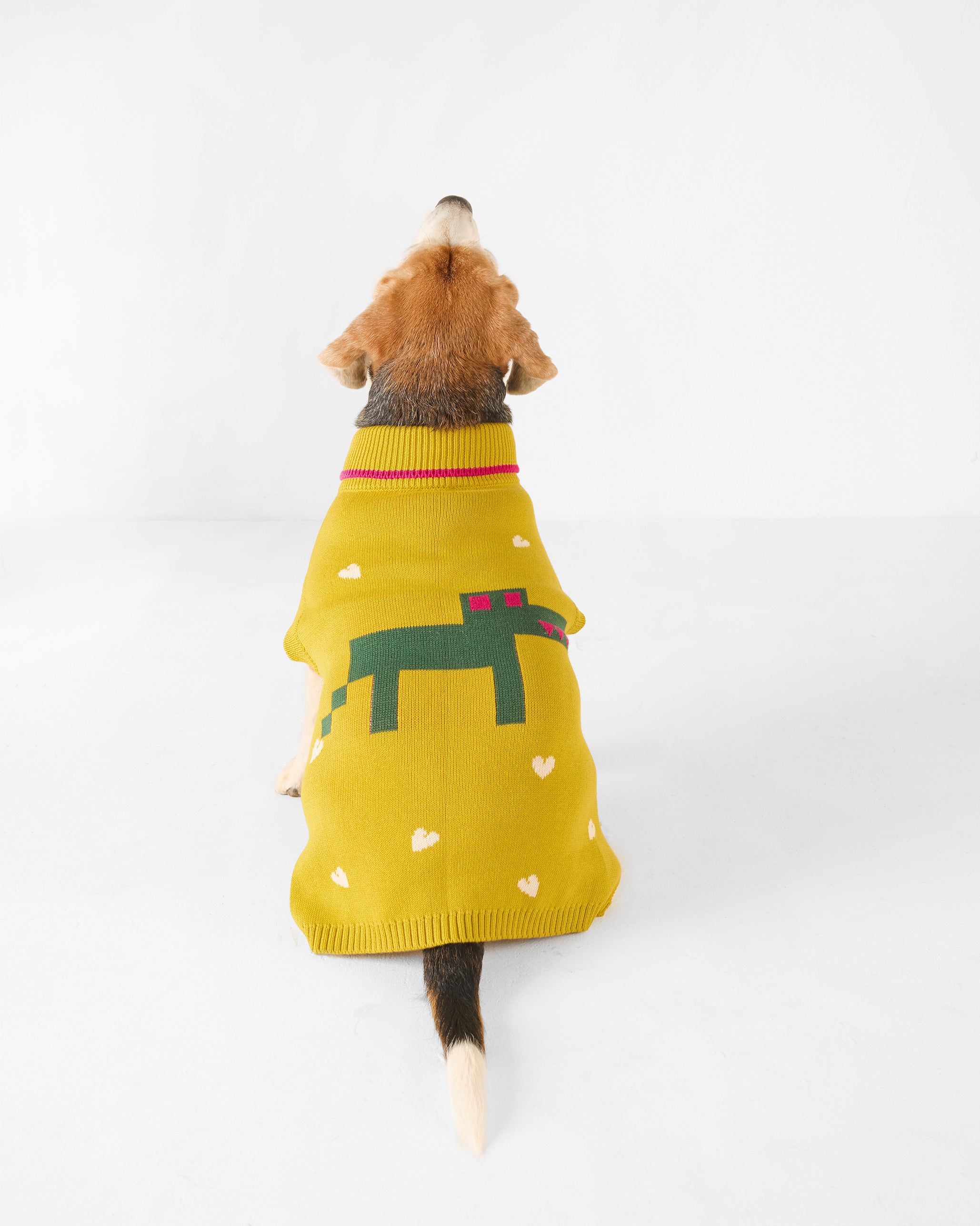 Jurassic Bark Dog Sweater - Chartreuse