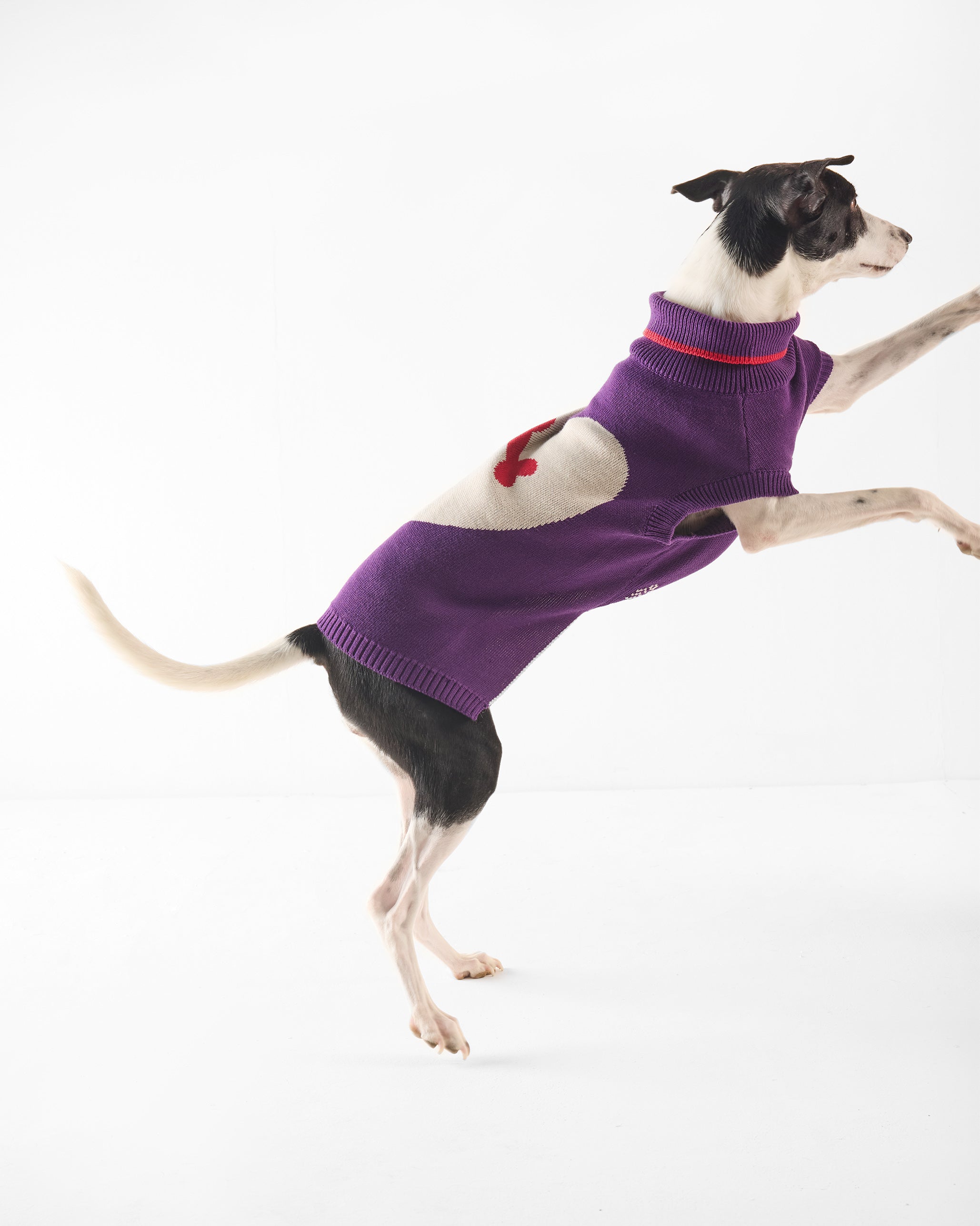Fur-ever Dog Sweater - Purple