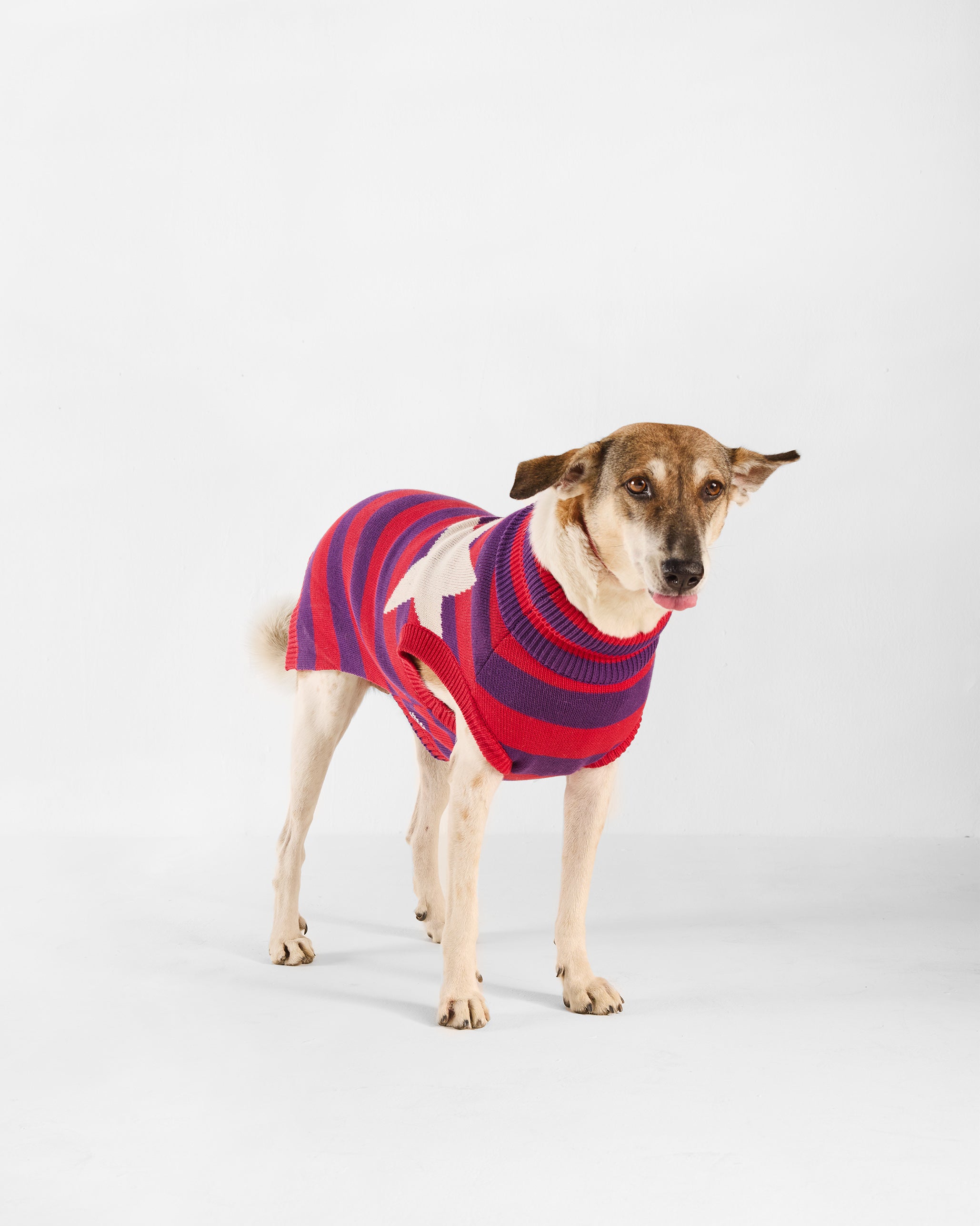 Cosmic Canine Dog Sweater - Red and purple
