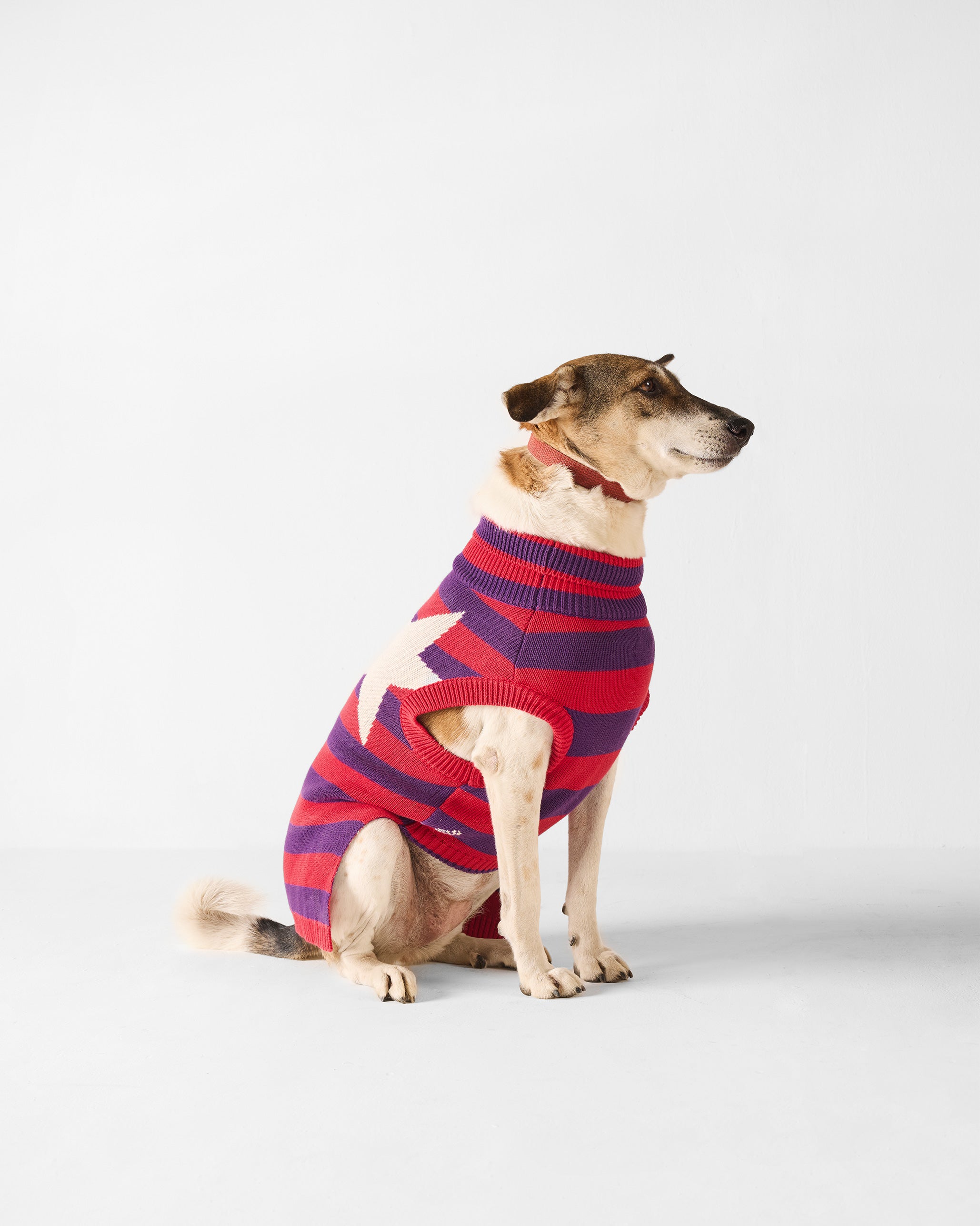 Cosmic Canine Dog Sweater - Red and purple