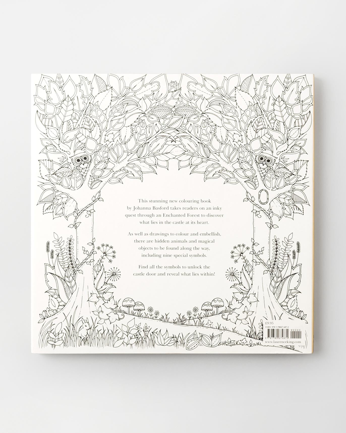 Enchanted Forest: An Inky Quest & Colouring Book