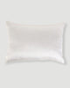 Nayra Banarasi Pillow Cover