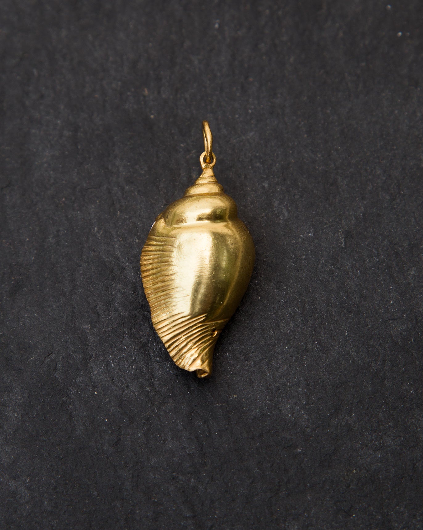 Coil Shell Pendant - Large
