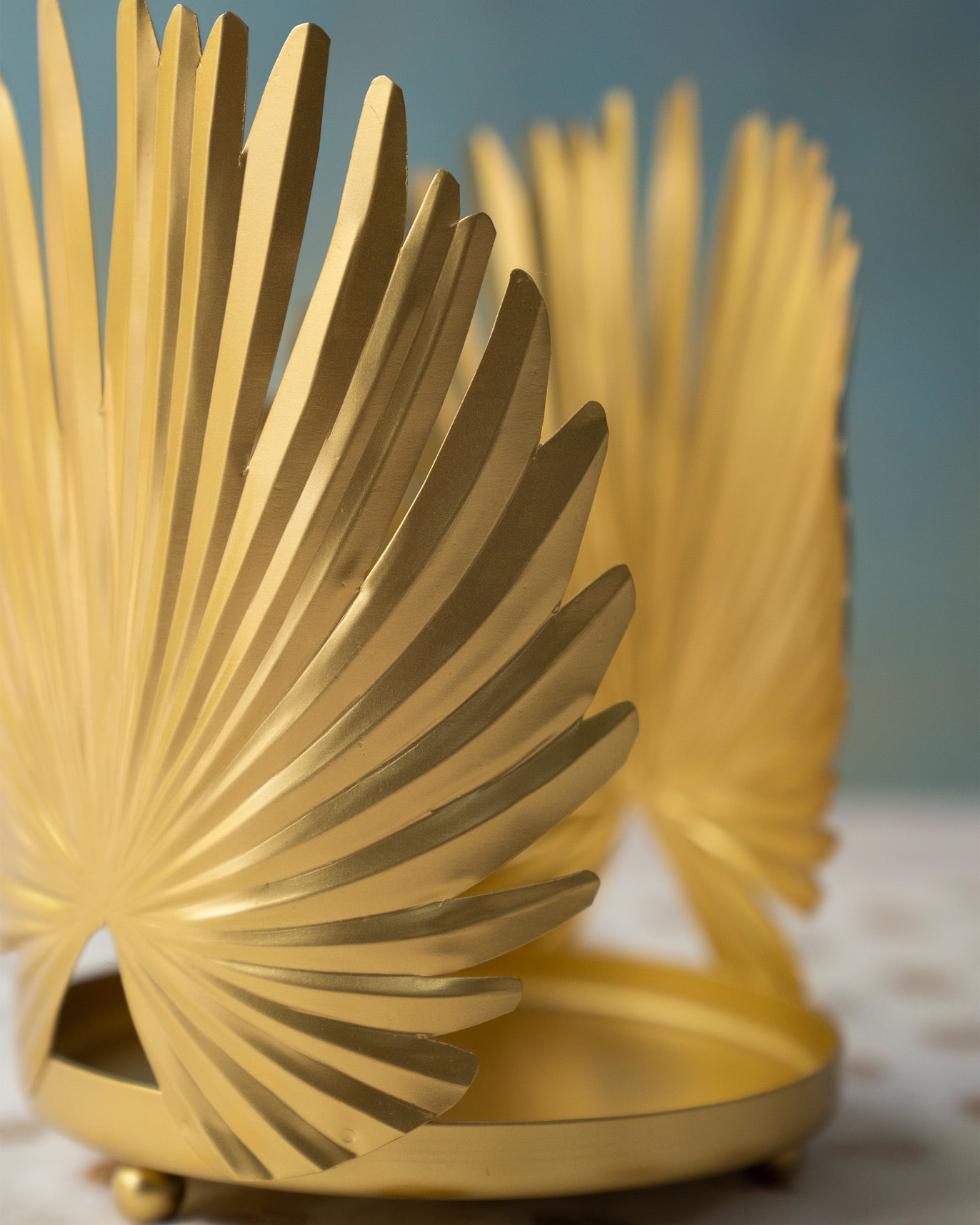 Sitara Palm Hurricane