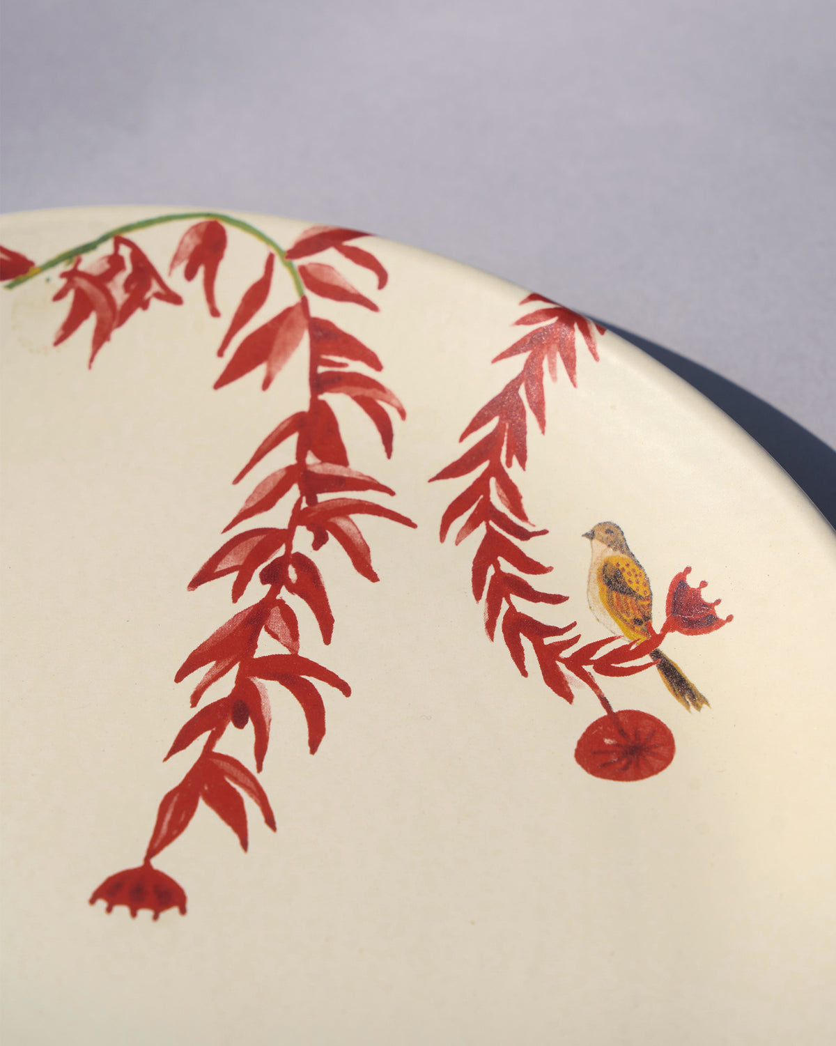 Thazin Dinner Plate