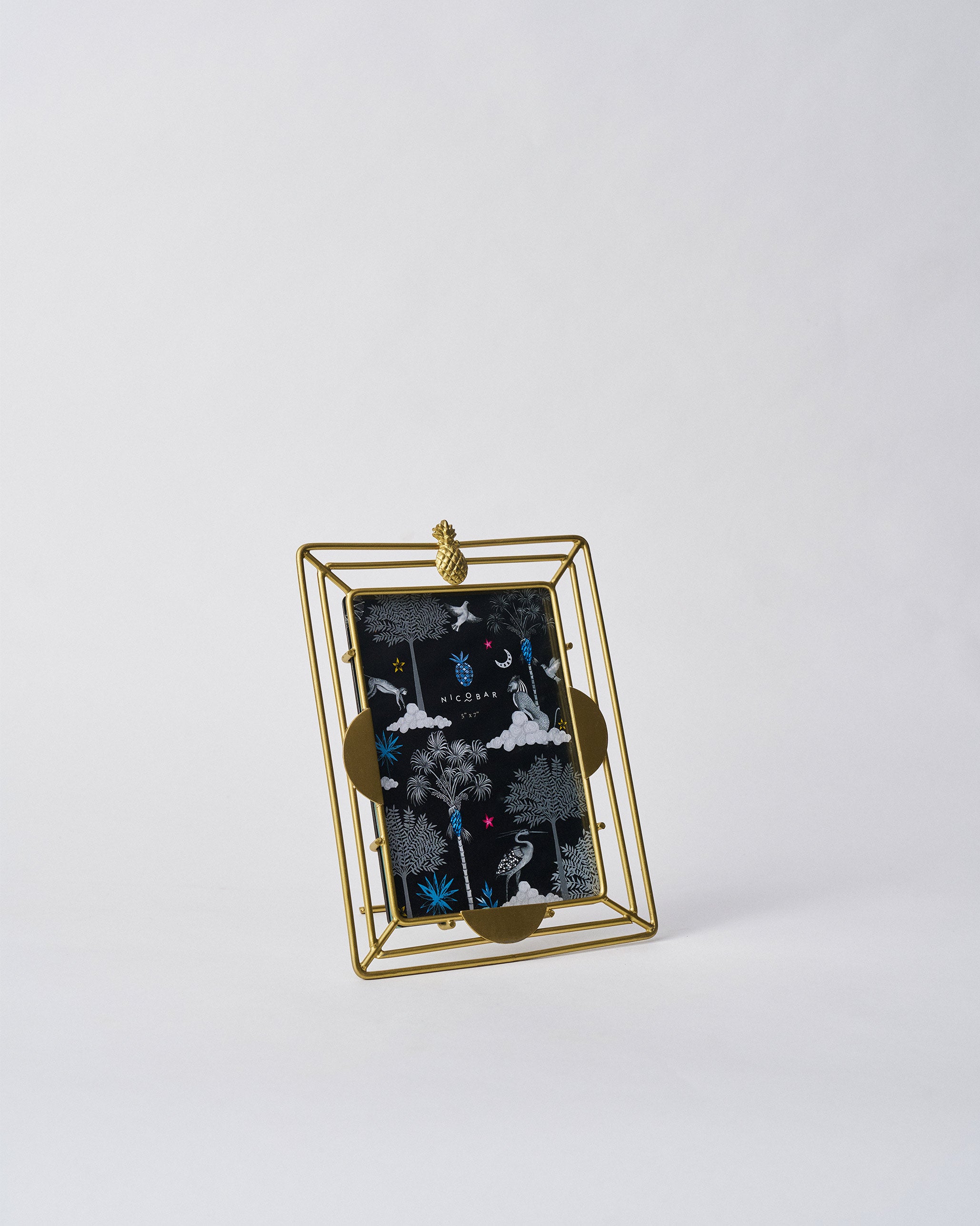 Ananas Photo Frame