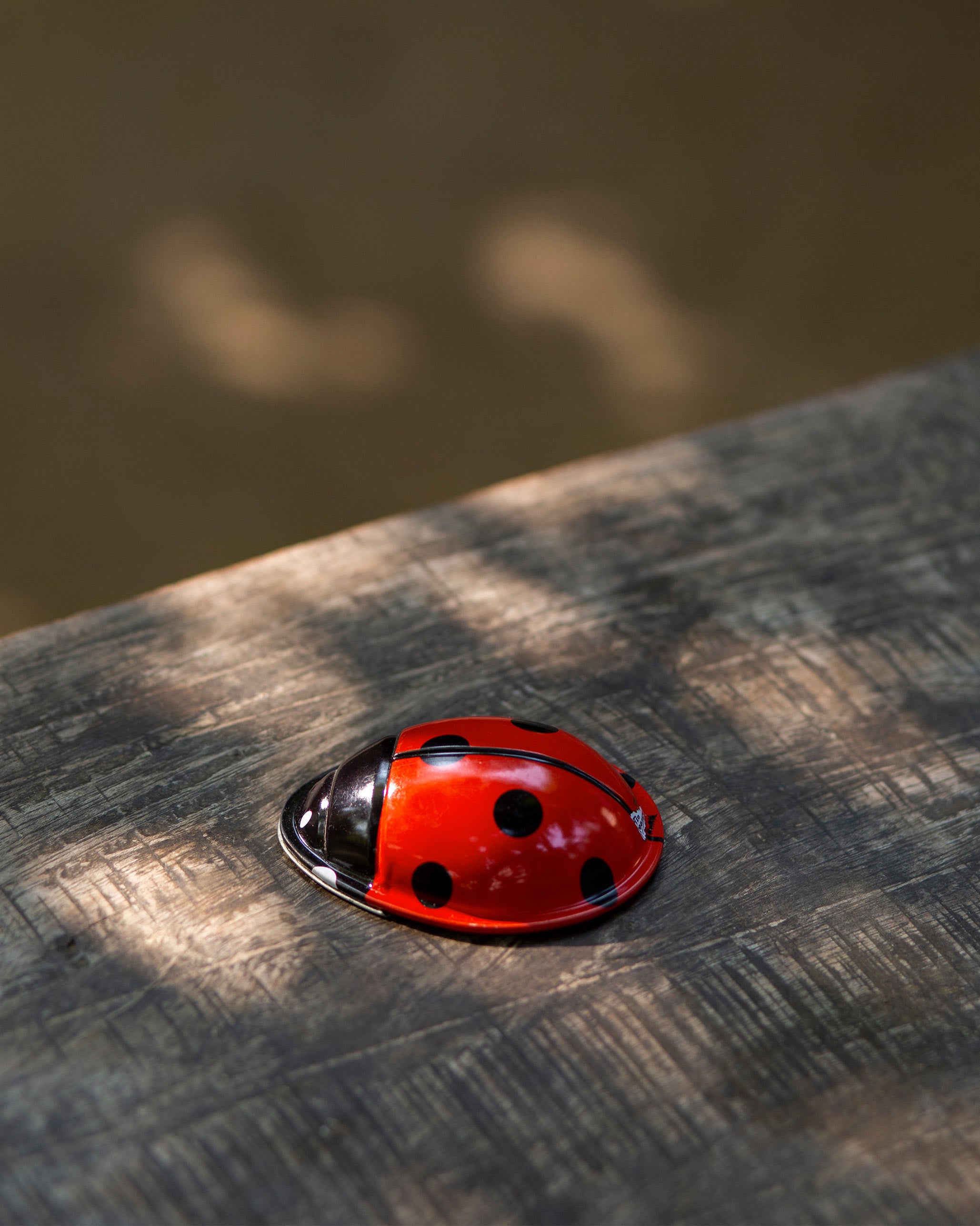 Lady Bug Clicker Toy