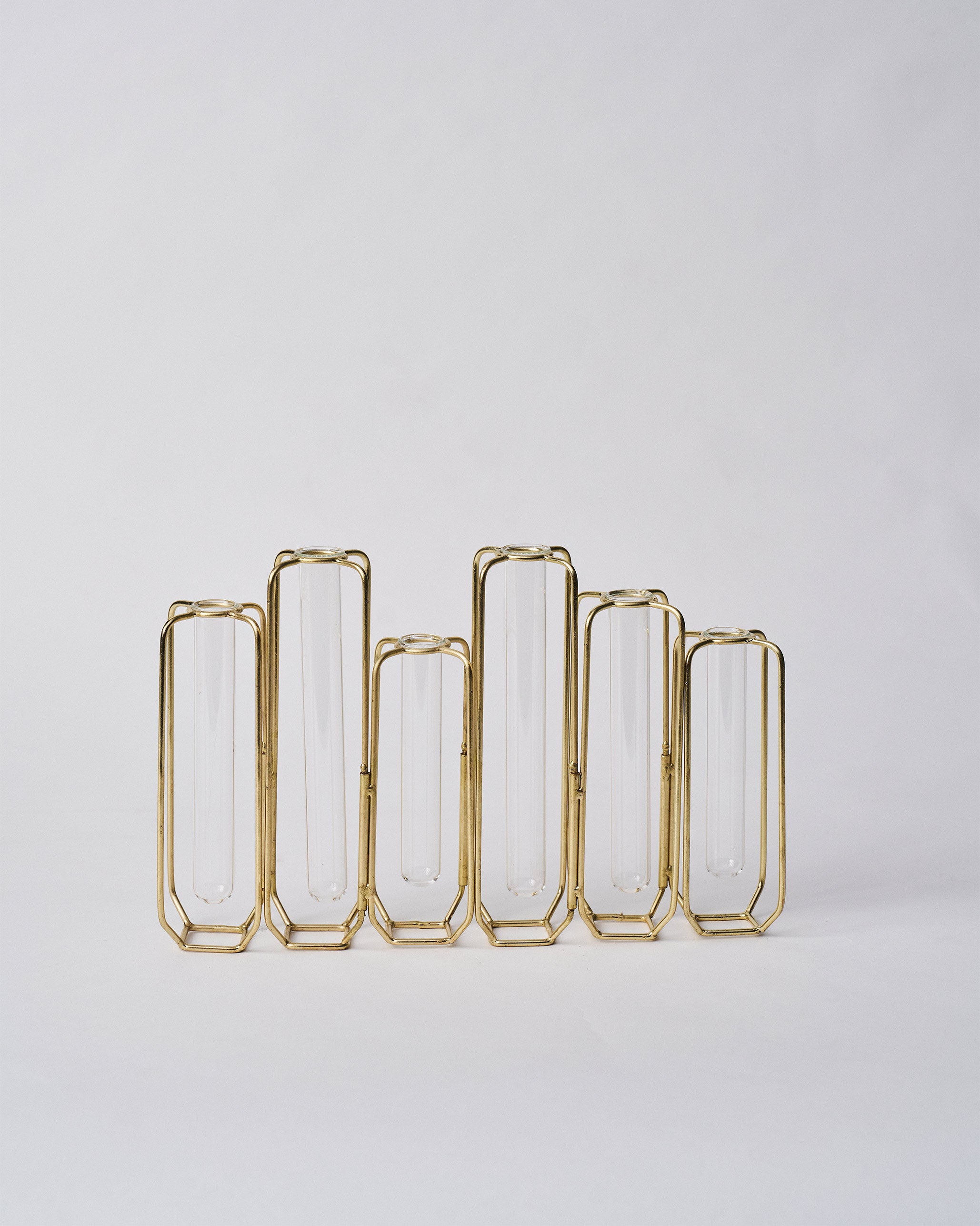 Test Tube Vase (Set of 6)