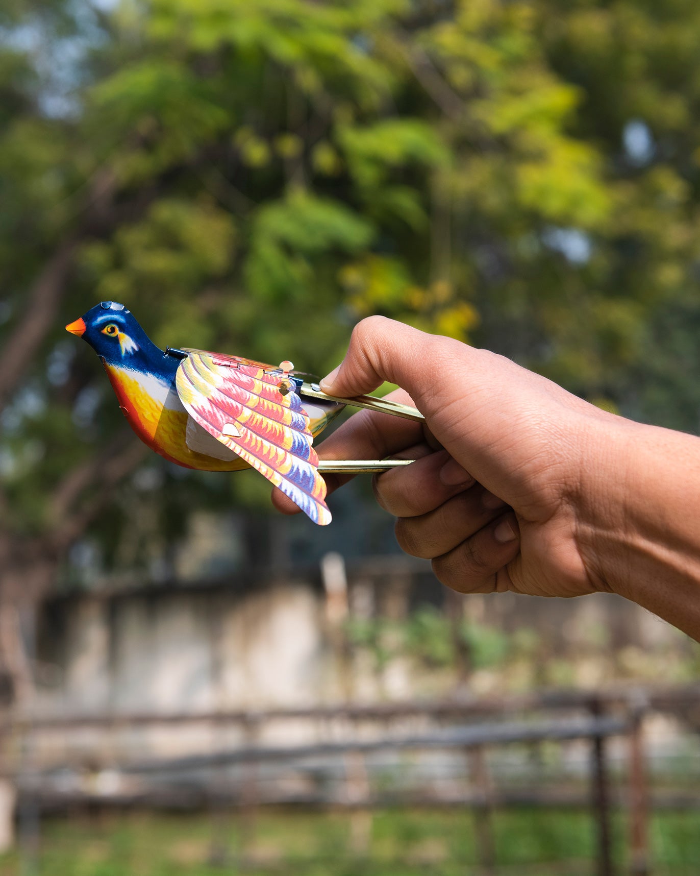 whistling sparrow -  orange