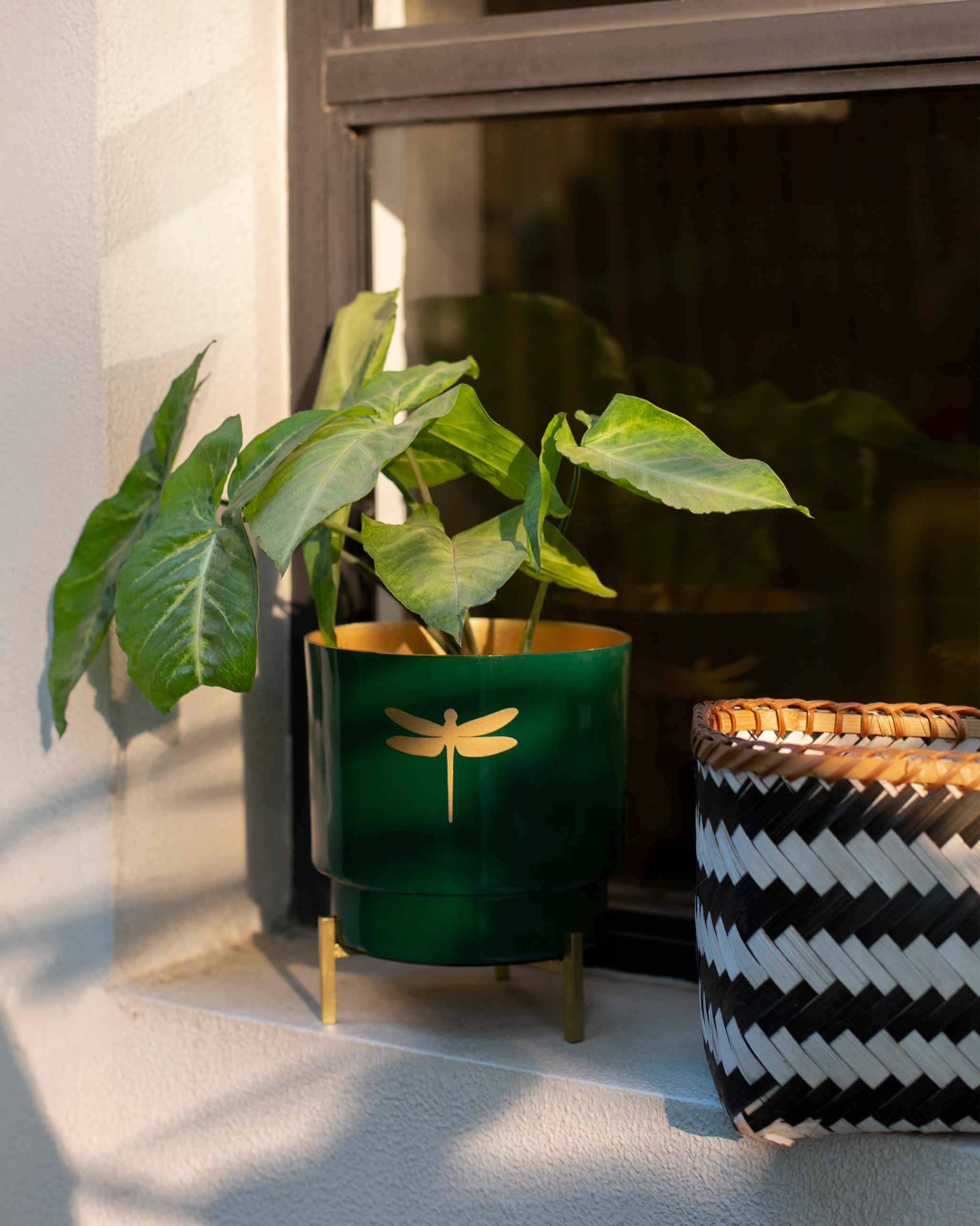 Emerald Dragonfly Planter