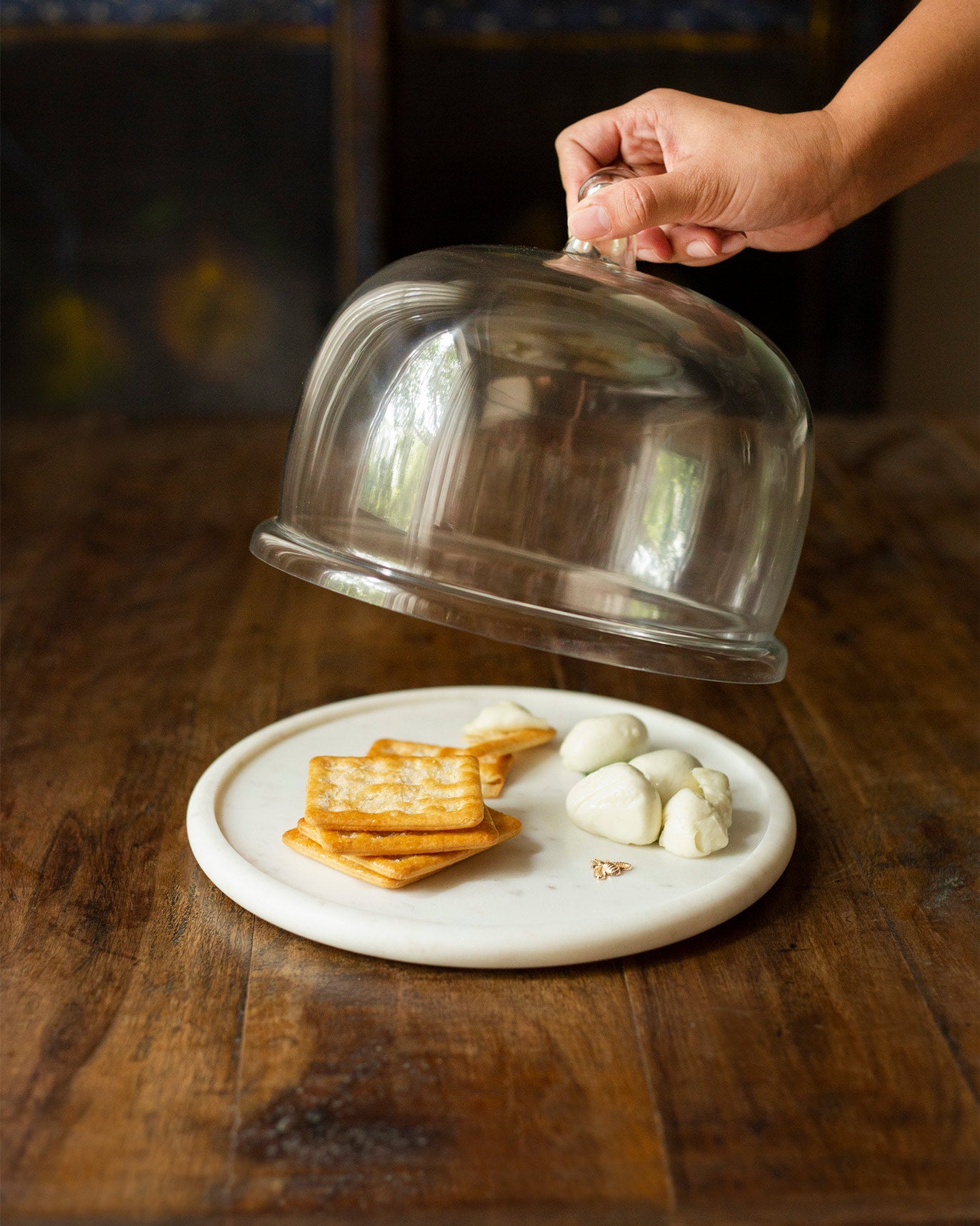 Firefly Cheese Cloche - White