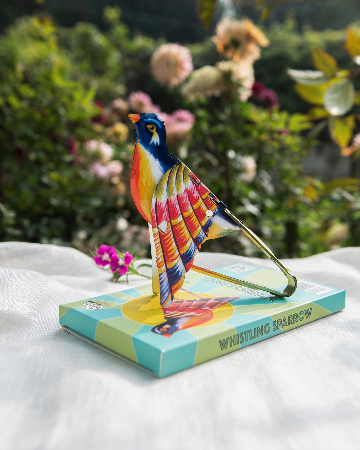 whistling sparrow -  orange