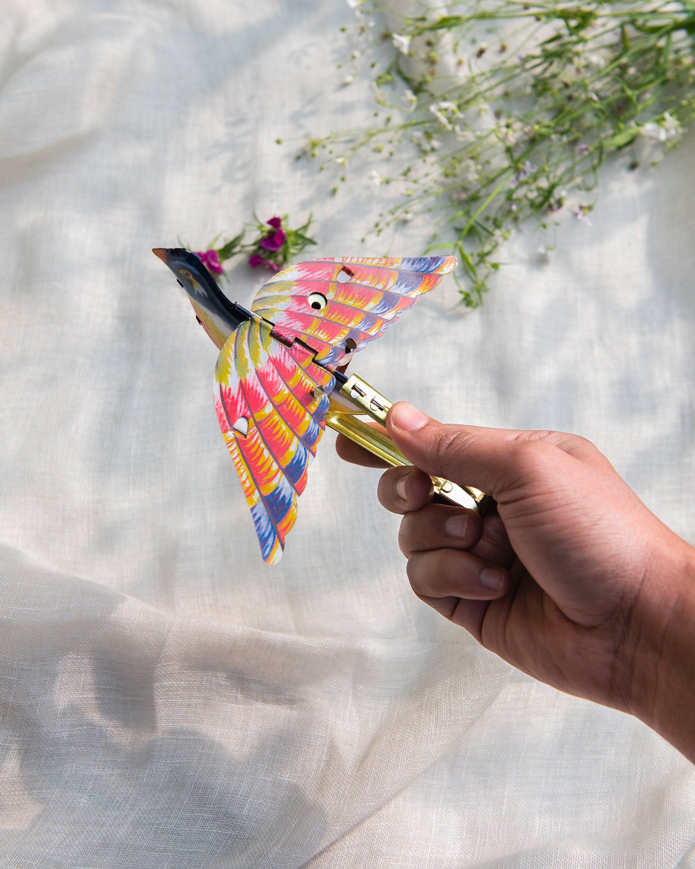 whistling sparrow -  orange