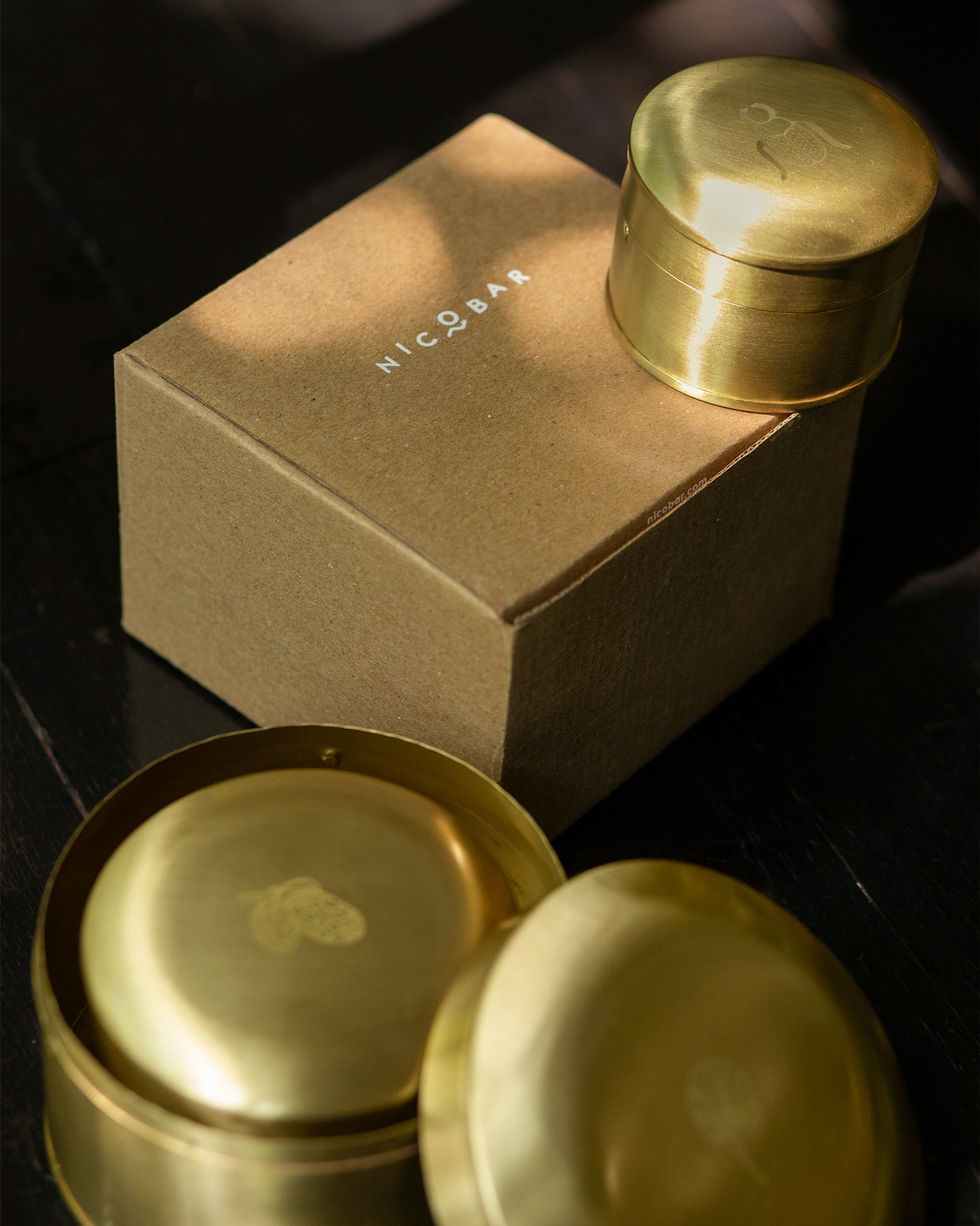 Dariya Nested Containers (Set of 3)