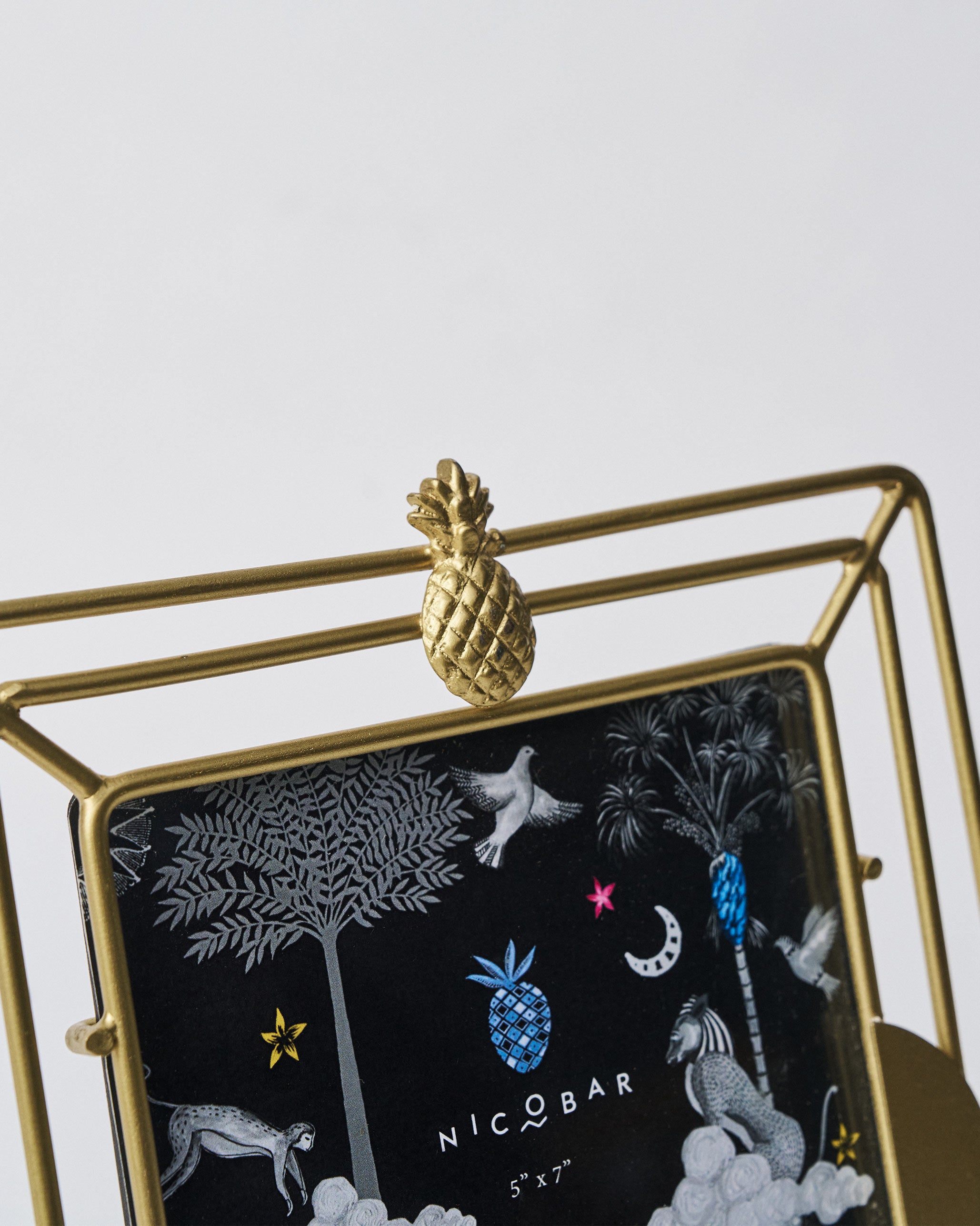 Ananas Photo Frame