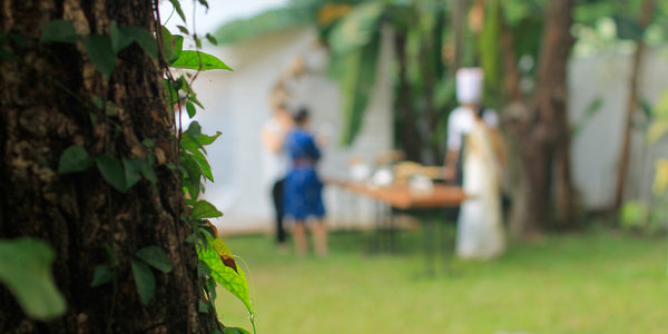 Dispatches from Fort Kochi: Nicobar Tea Party