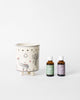 Aroma Ritual Set