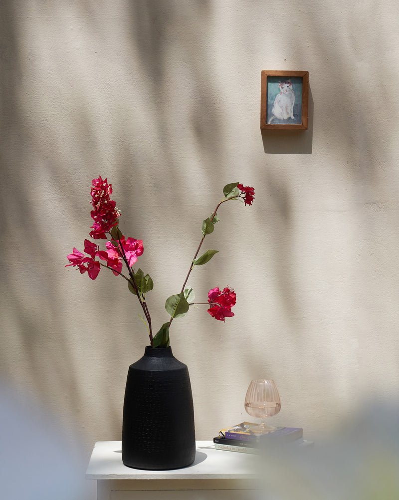 Bougainvillea Beauty Flower