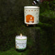 All Home(Fragrances)