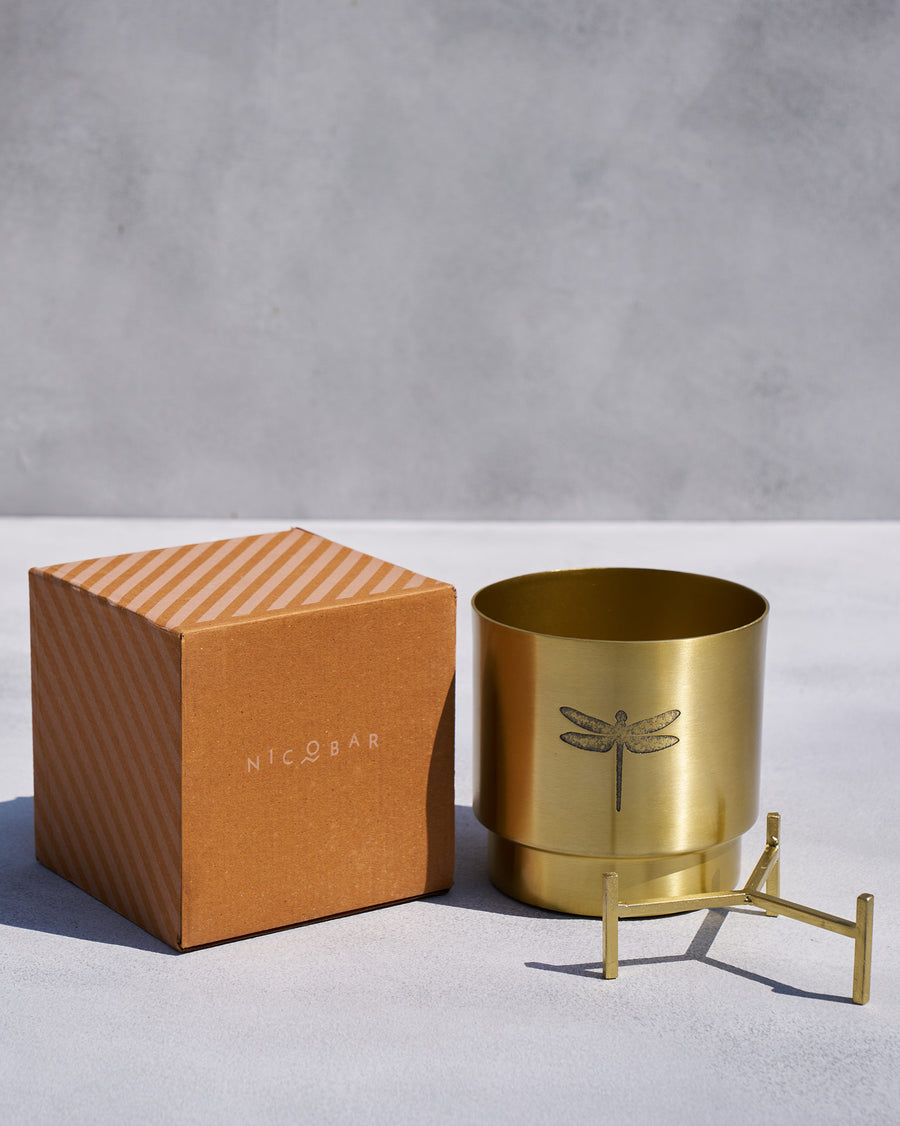The Dune Planter beside its Nicobar box.