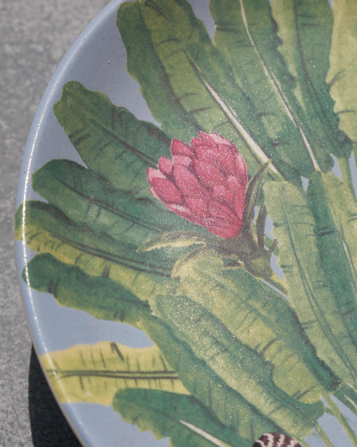 The leaves and bloom seen close
