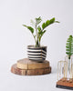 Linea Vase