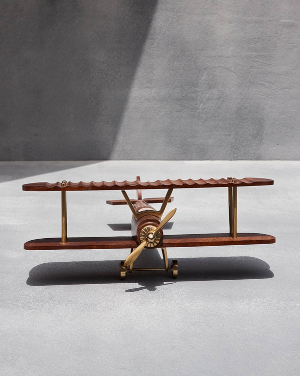 The biplane from the front, both wings in view