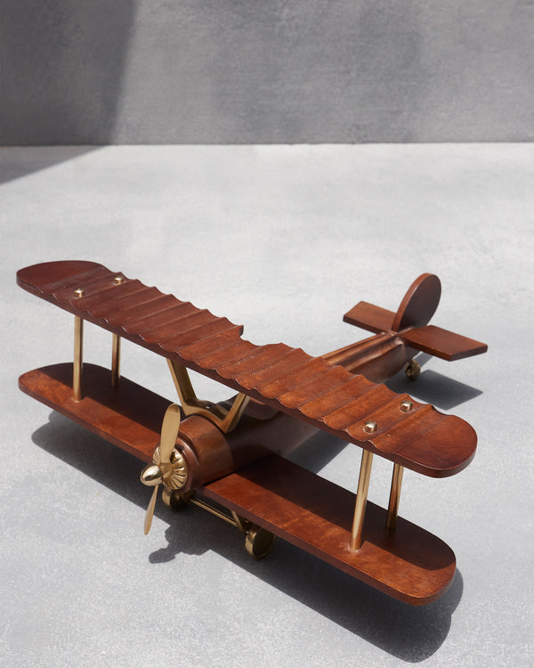 The biplane from above
