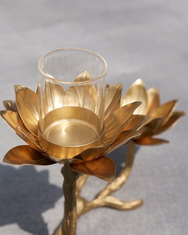 Close view of a lotus cup with a clear glass insert