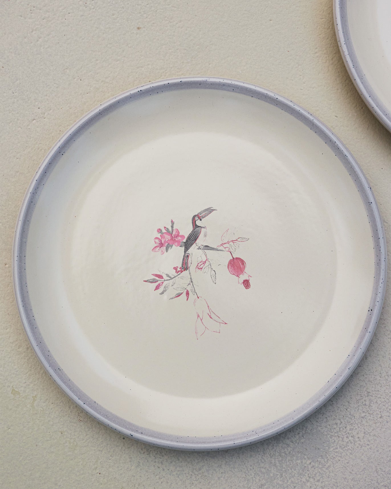 Nectar Dinner Plates (Set of 4)