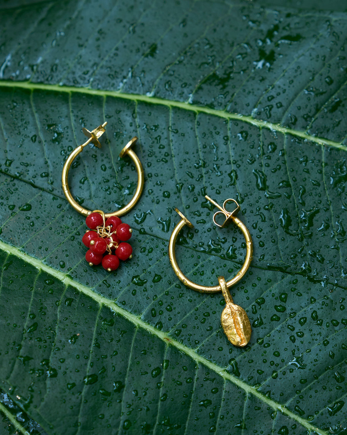 Java Earrings - Gold