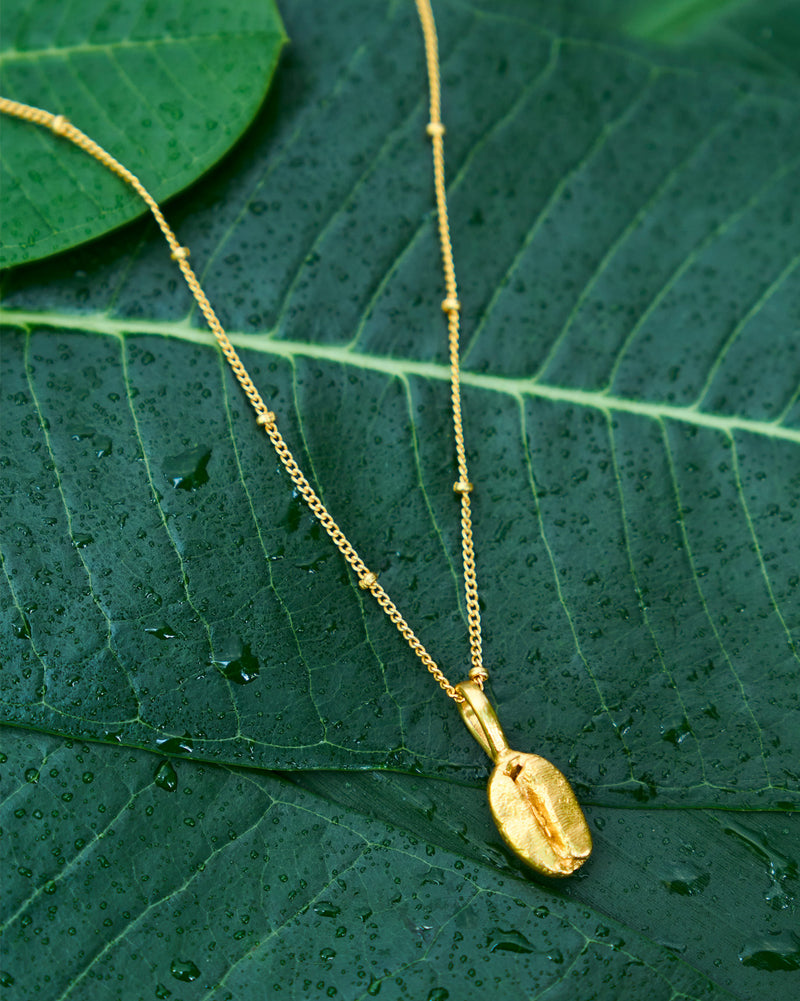 Coffee Bean Necklace - Gold